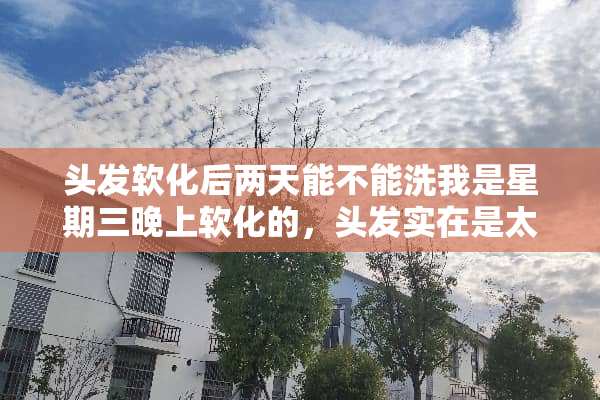 头发软化后两天能不能洗我是星期三晚上软化的，头发实在是太油了？