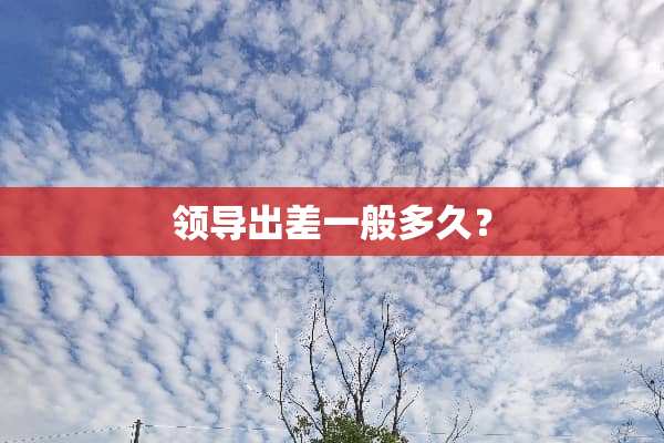 领导出差一般多久？