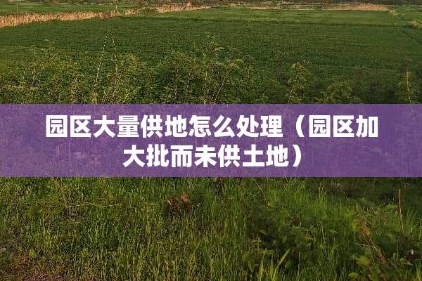 园区大量供地怎么处理（园区加大批而未供土地）
