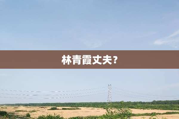 林青霞丈夫？