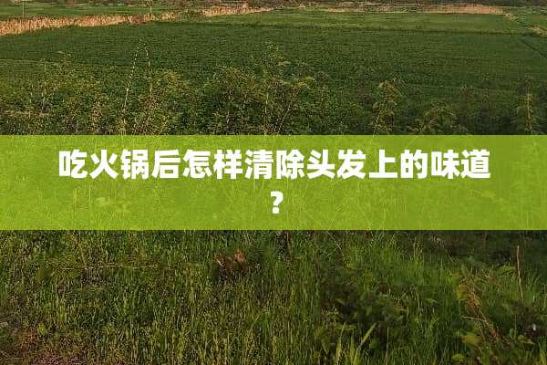 吃火锅后怎样清除头发上的味道？
