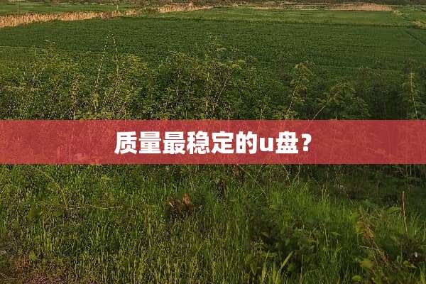 质量最稳定的u盘？