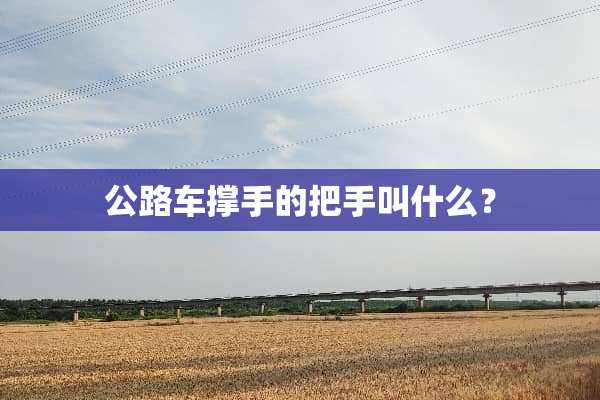 公路车撑手的把手叫什么？