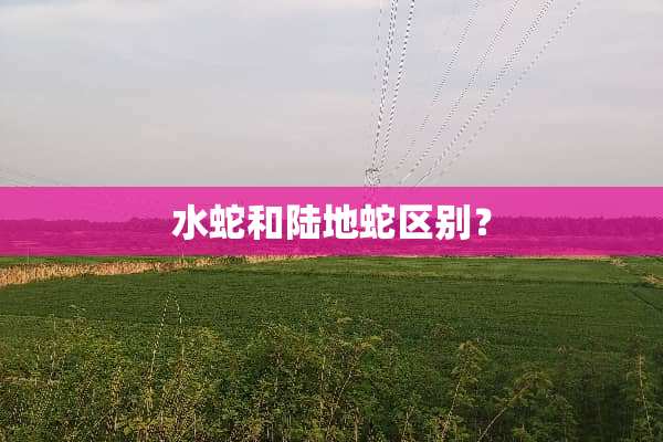 水蛇和陆地蛇区别？