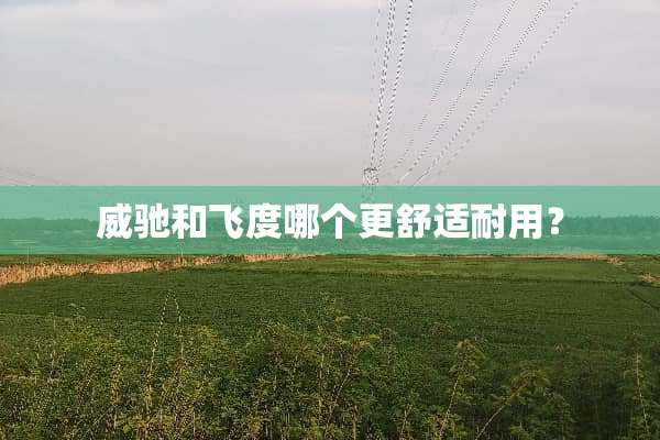威驰和飞度哪个更舒适耐用？