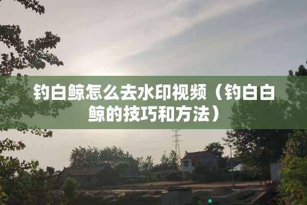 钓白鲸怎么去水印视频（钓白白鲸的技巧和方法）