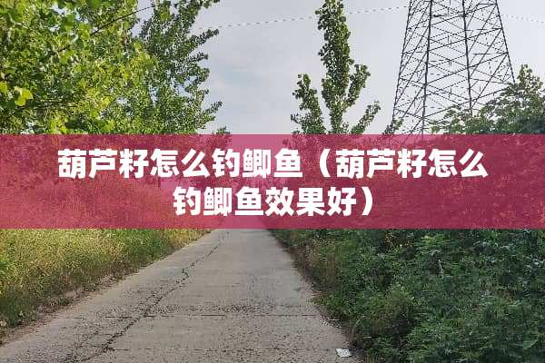 葫芦籽怎么钓鲫鱼（葫芦籽怎么钓鲫鱼效果好）