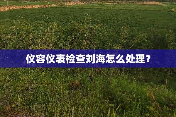仪容仪表检查刘海怎么处理？