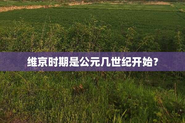 维京时期是公元几世纪开始？