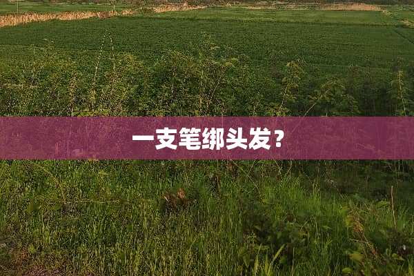 一支笔绑头发？
