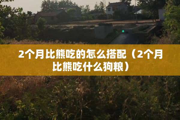 2个月比熊吃的怎么搭配（2个月比熊吃什么狗粮）