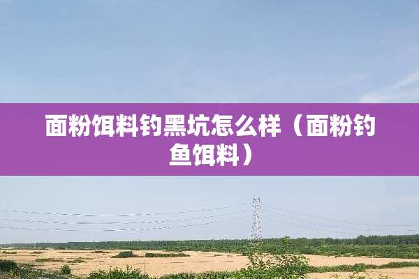 面粉饵料钓黑坑怎么样（面粉钓鱼饵料）
