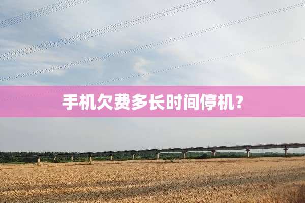手机欠费多长时间停机？