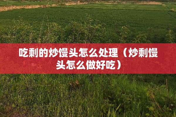 吃剩的炒馒头怎么处理（炒剩馒头怎么做好吃）