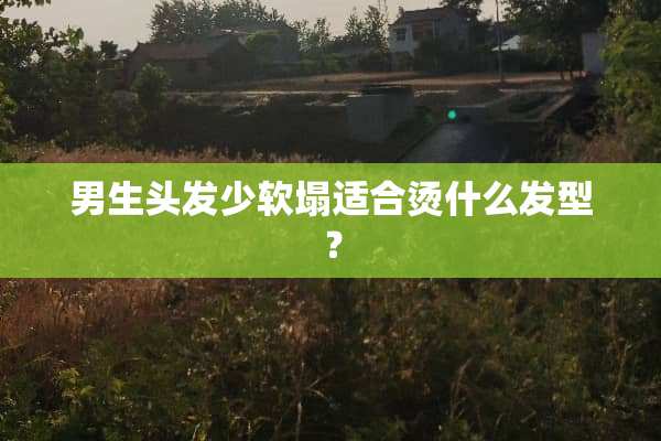 男生头发少软塌适合烫什么发型？