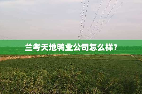 兰考天地鸭业公司怎么样？