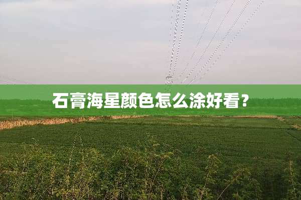 石膏海星颜色怎么涂好看？