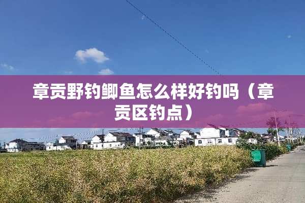 章贡野钓鲫鱼怎么样好钓吗（章贡区钓点）