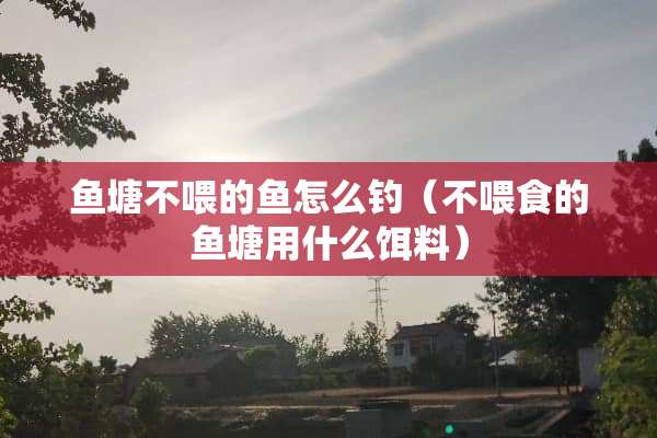 鱼塘不喂的鱼怎么钓（不喂食的鱼塘用什么饵料）