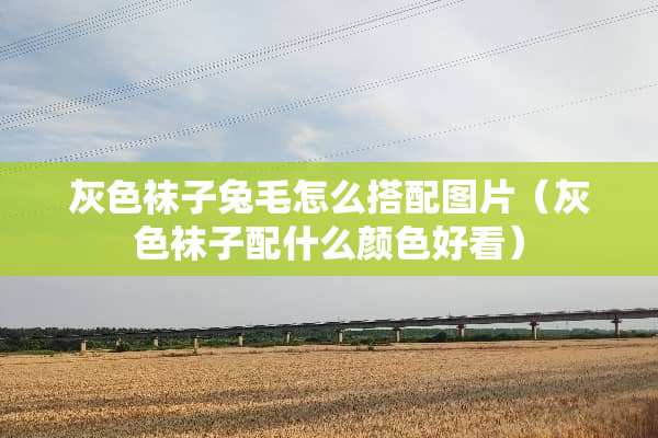 灰色袜子兔毛怎么搭配图片（灰色袜子配什么颜色好看）