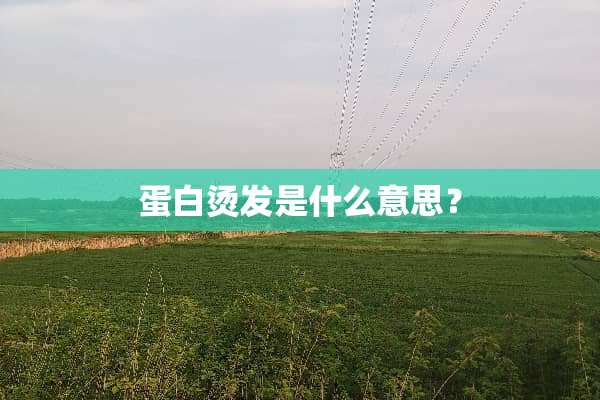 蛋白烫发是什么意思？