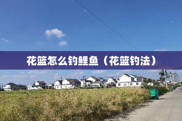 花篮怎么钓鲤鱼（花篮钓法）