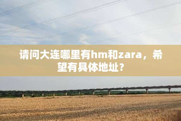 请问大连哪里有hm和zara，希望有具体地址？