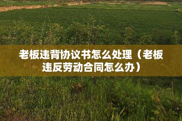 老板违背协议书怎么处理（老板违反劳动合同怎么办）