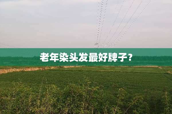 老年染头发最好牌子？