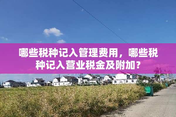 哪些税种记入管理费用，哪些税种记入营业税金及附加？
