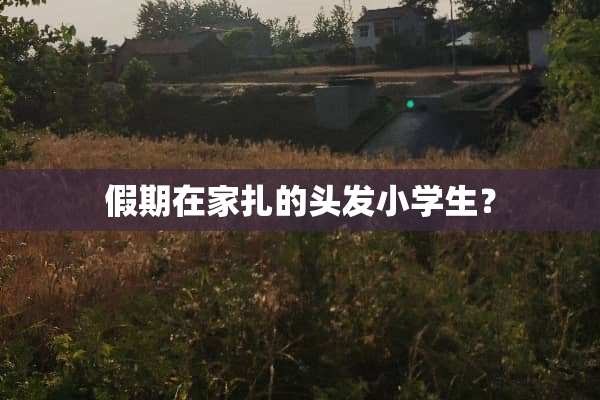 假期在家扎的头发小学生？