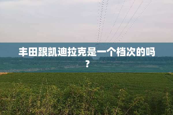 丰田跟凯迪拉克是一个档次的吗？