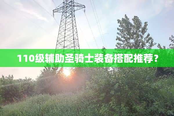 110级辅助圣骑士装备搭配推荐？