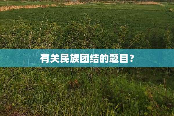 有关民族团结的题目？