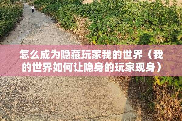 怎么成为隐藏玩家我的世界（我的世界如何让隐身的玩家现身）