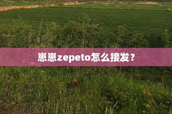 崽崽zepeto怎么接发？