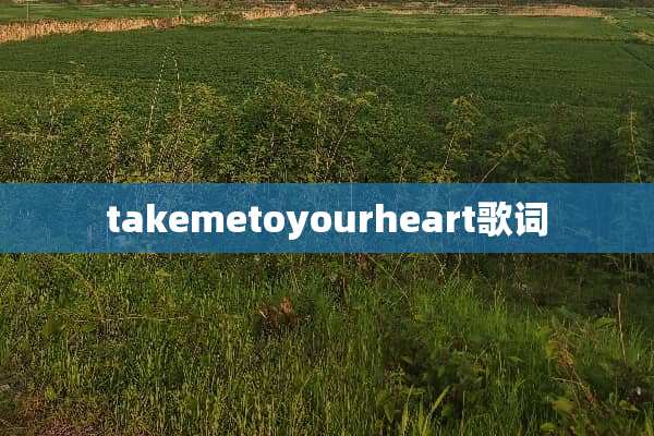 takemetoyourheart歌词