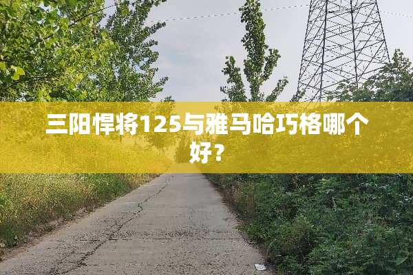 三阳悍将125与***巧格哪个好？