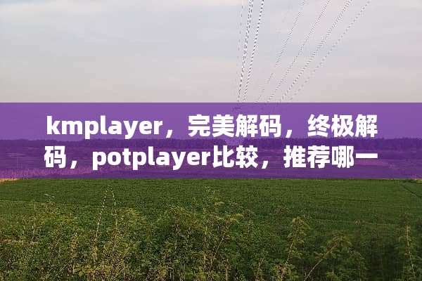 kmplayer，完美**，终极**，potplayer比较，推荐哪一款？