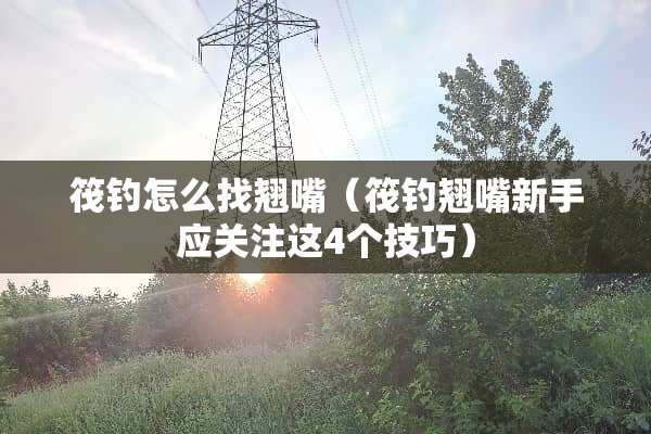 筏钓怎么找翘嘴（筏钓翘嘴新手应关注这4个技巧）