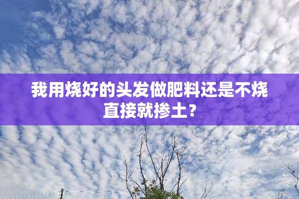 我用烧好的头发做肥料还是不烧直接就掺土？