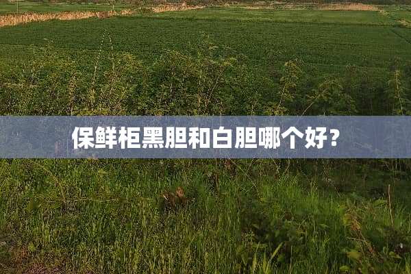 保鲜柜黑胆和白胆哪个好？