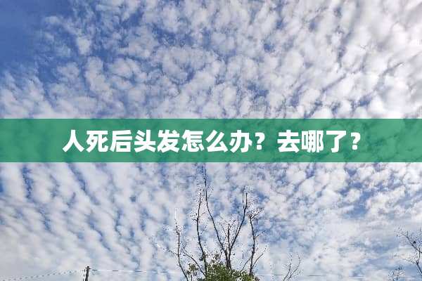 人死后头发怎么办？去哪了？