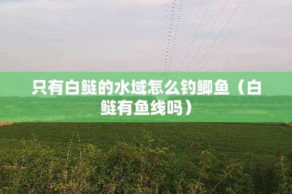 只有白鲢的水域怎么钓鲫鱼（白鲢有鱼线吗）