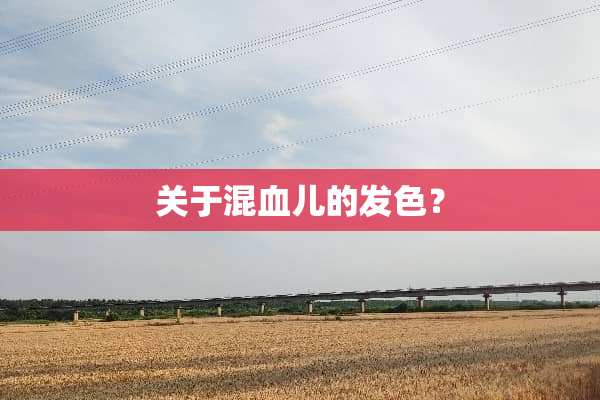 关于混血儿的发色？