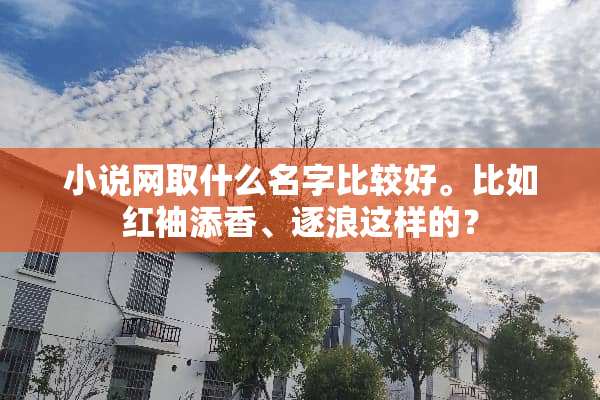 小说网取什么名字比较好。比如红袖添香、逐浪这样的？