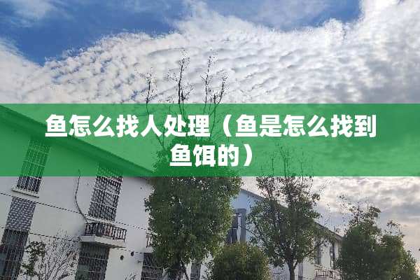 鱼怎么找人处理（鱼是怎么找到鱼饵的）