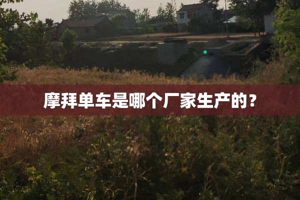 摩拜单车是哪个厂家生产的？