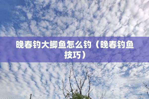 晚春钓大鲫鱼怎么钓（晚春钓鱼技巧）