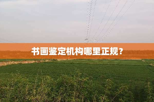 书画鉴定机构哪里正规？